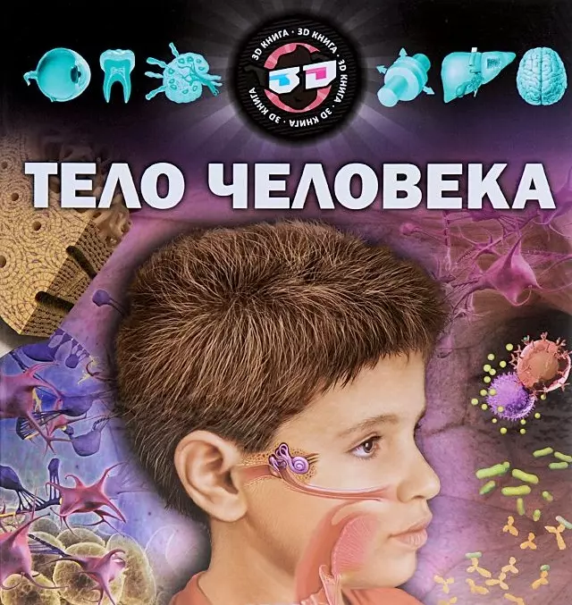 Тело человека Науч.-попул.изд (Кошелева)