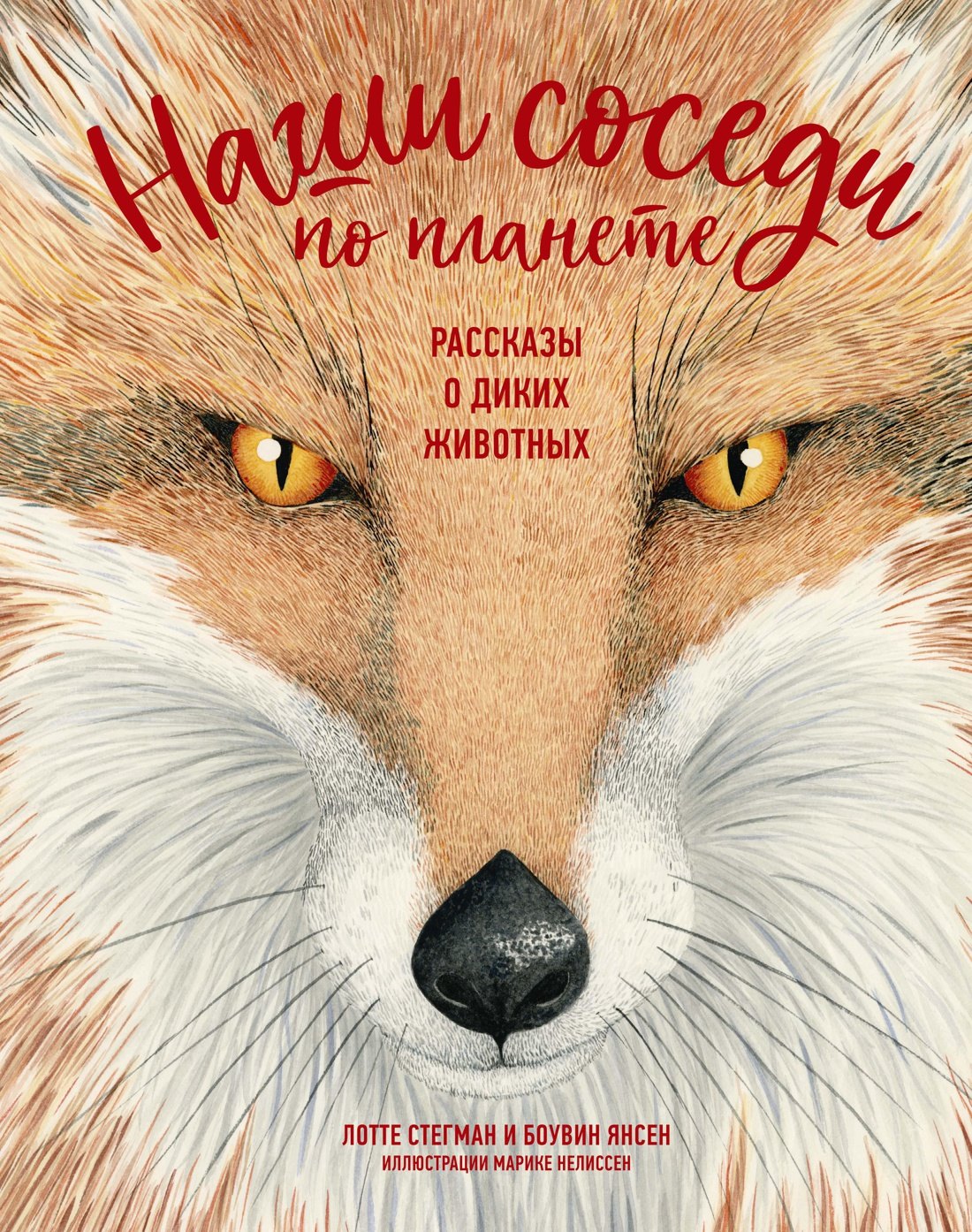Стегман Лотте: Наши соседи по планете. Рассказы о диких животных
