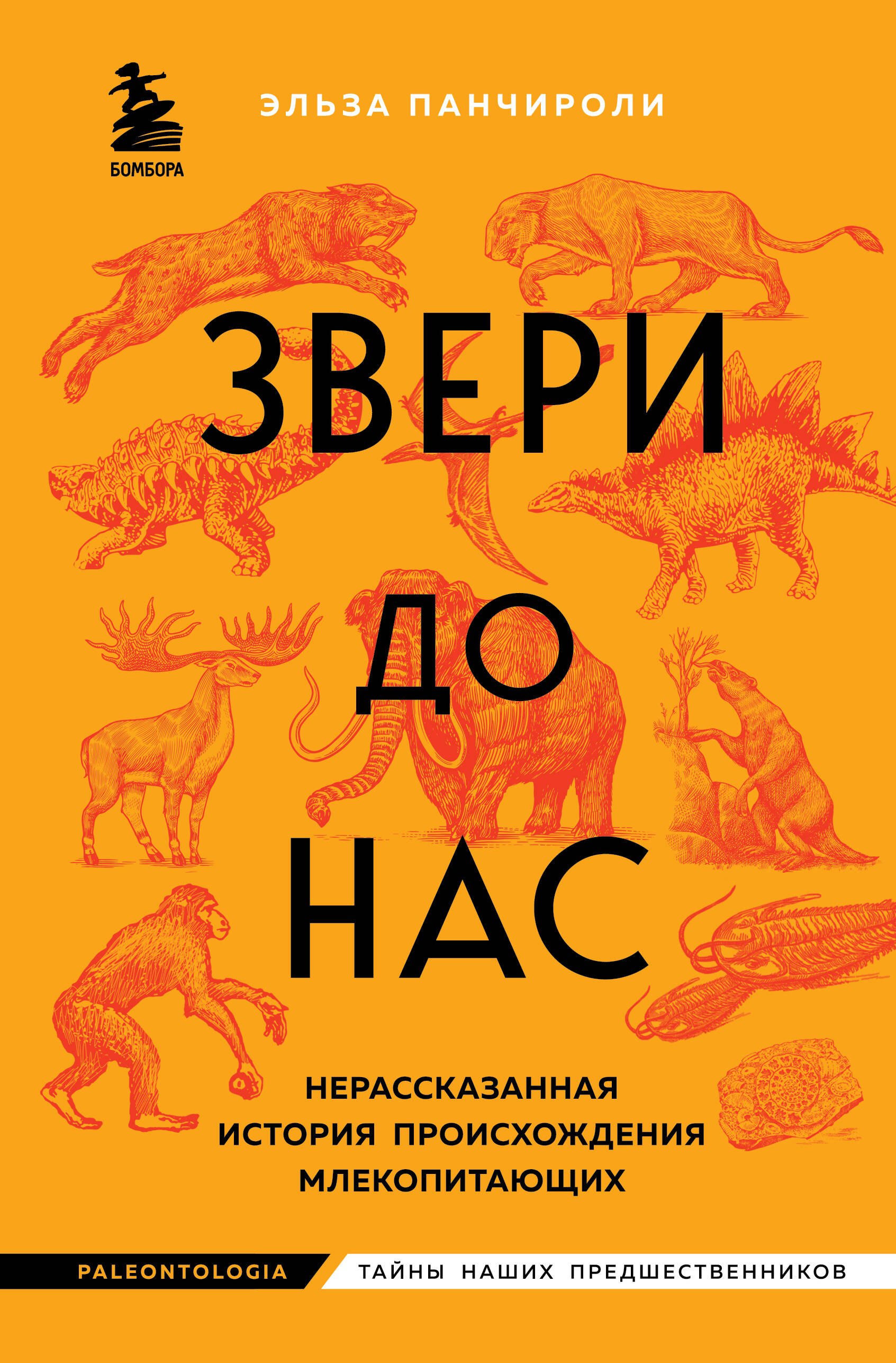 

Звери до нас. Нерассказанная история происхождения млекопитающих