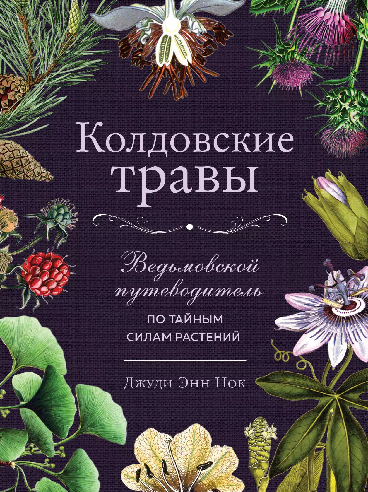 

Колдовские травы. Ведьмовской путеводитель по тайным силам растений