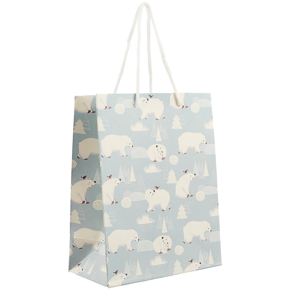 

Подарочный пакет «Белые медведи», А5