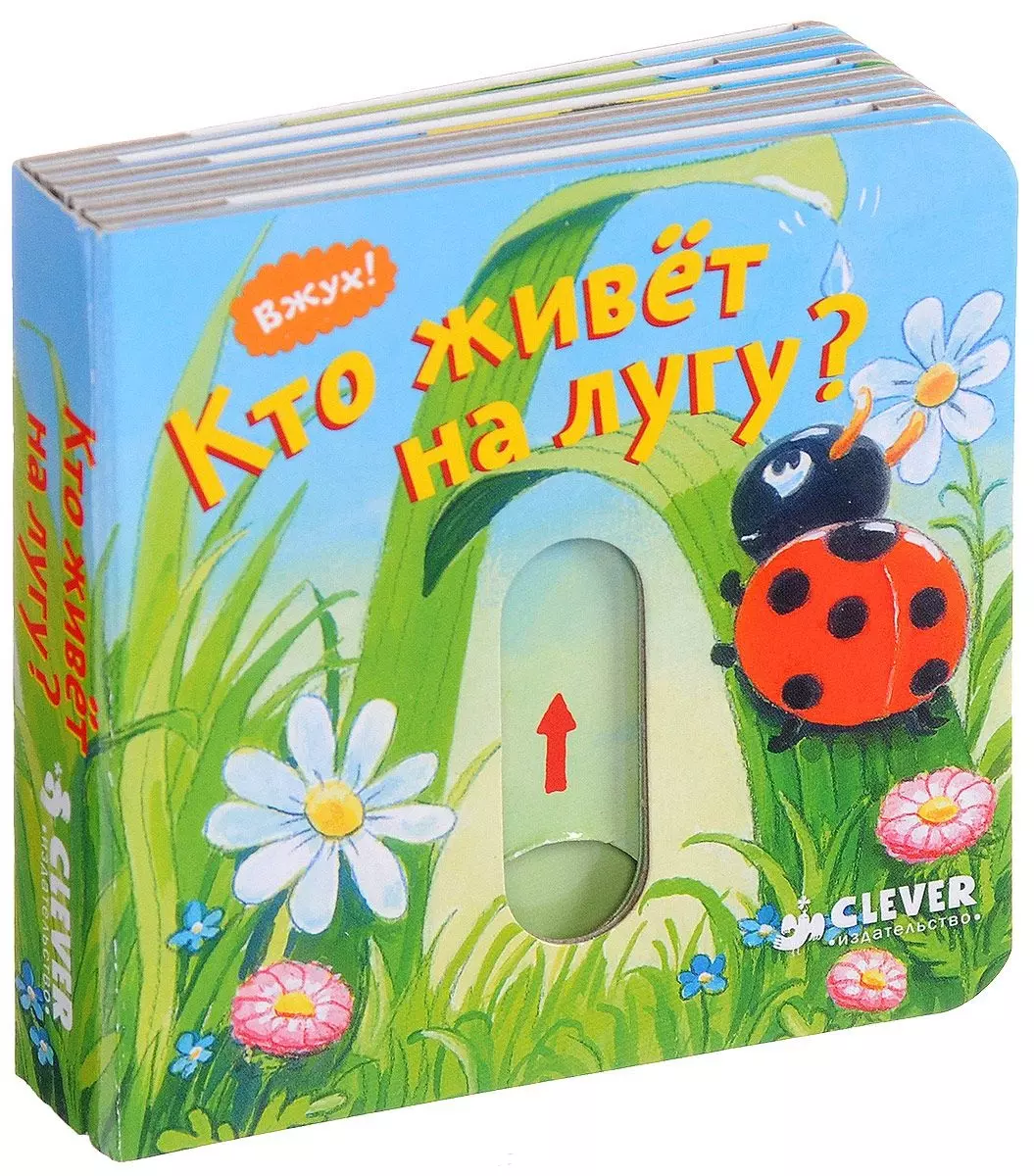 Вжух! Кто живёт на лугу?