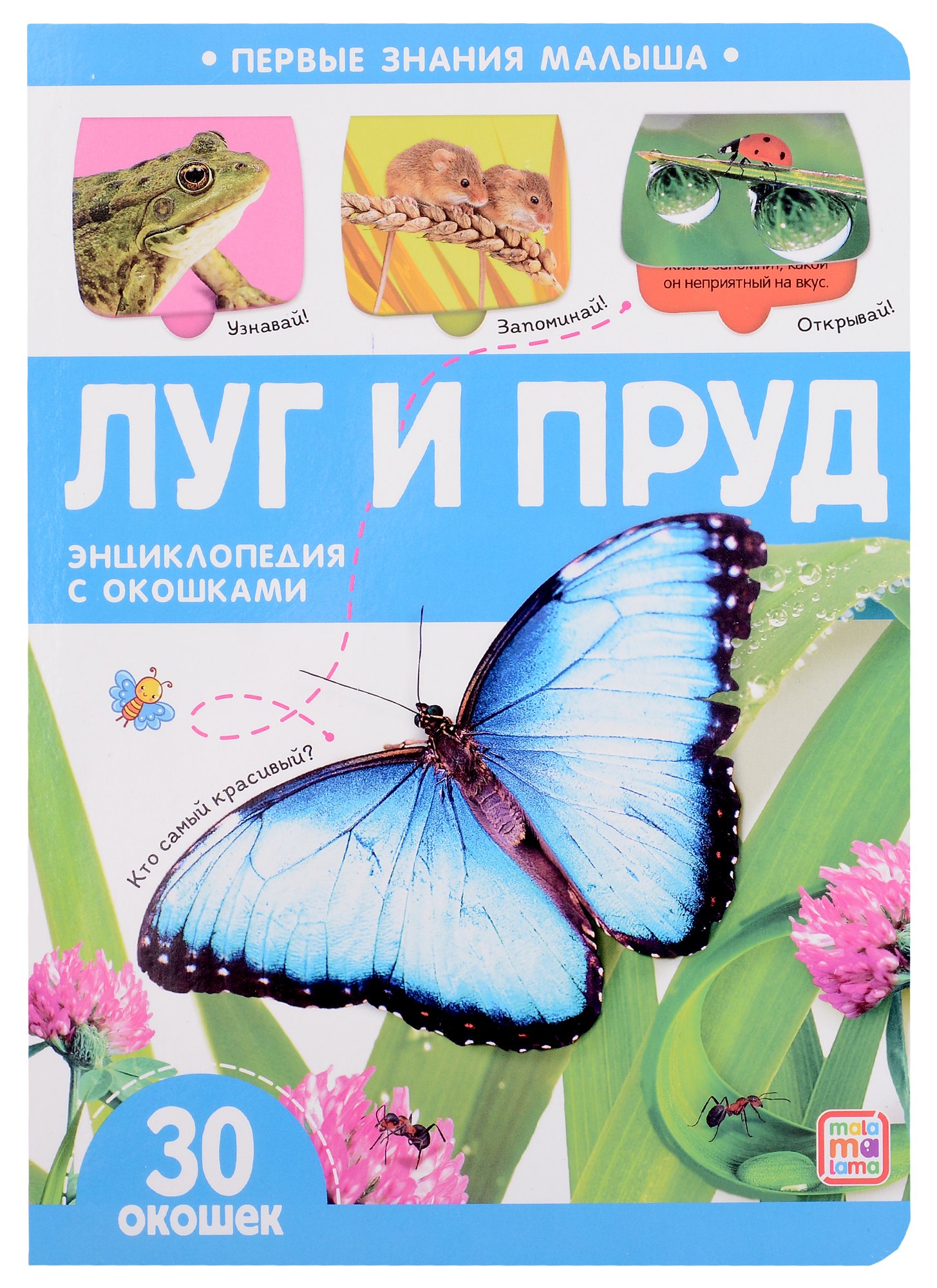 Луг и пруд книжка с окошками 441₽