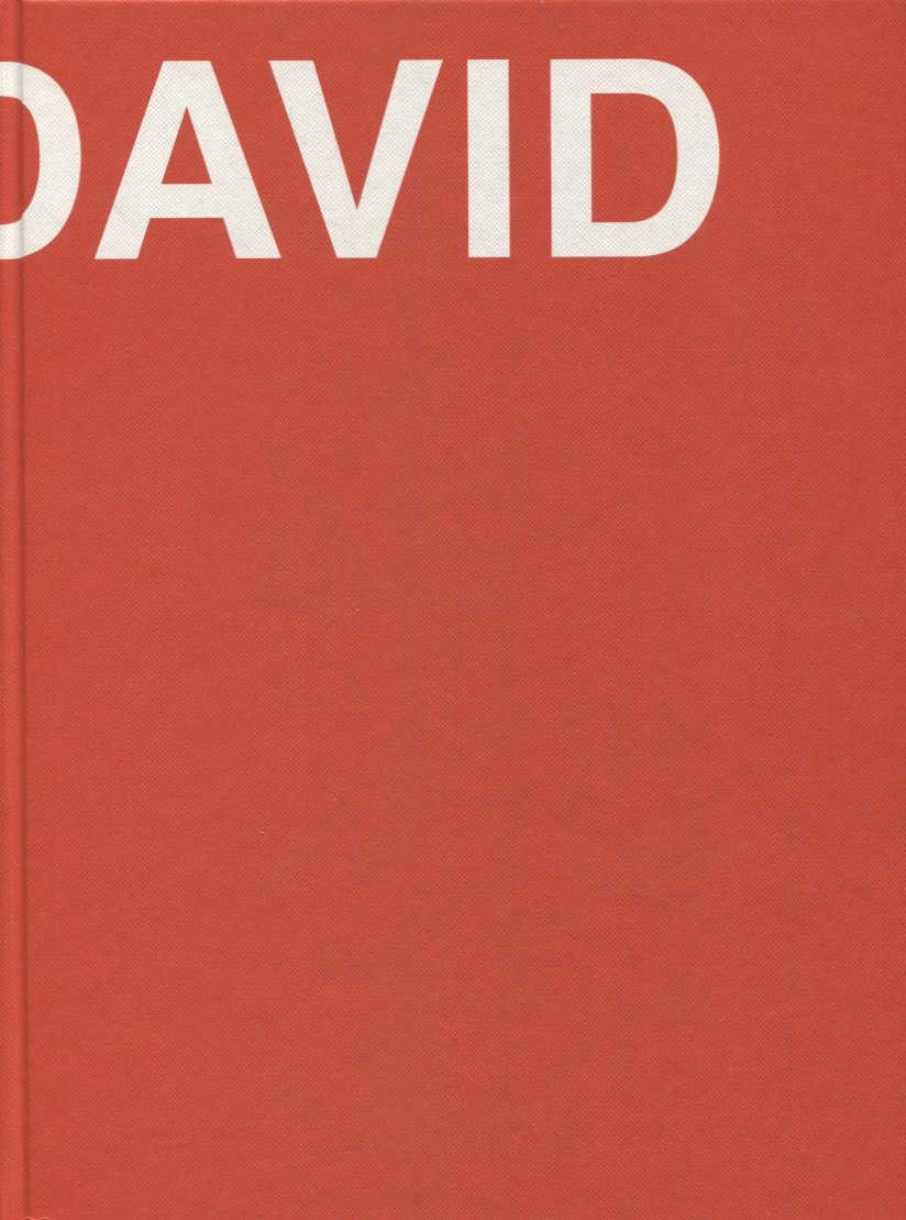 

David. The Life of David Ashotovich Sarkisyan