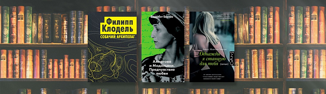 Лучшие книги французских писателей