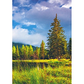 Купить Записная книжка, Эксмо, А4, (210*290), 100л. Книги для записей Лесное озеро тверд.обл. — Фото №1