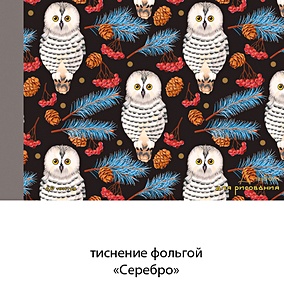Купить Альбом для рисования «Полярные совы» Unnika А4, 40 листов, склейка — Фото №1