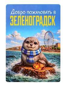 Купить Магнит декоративный Нерпа и янтарь (Калининград) (70х100мм) (FH072) — Фото №1
