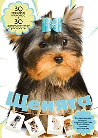 Купить Щенята — Фото №1