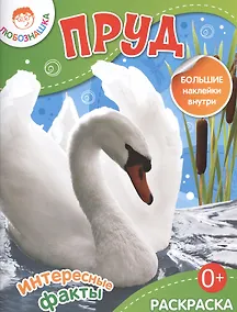 Купить Пруд.Раскраска+большие наклейки внутри — Фото №1