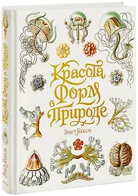 Купить Красота форм в природе — Фото №1