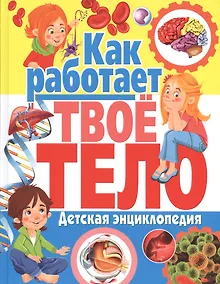 Купить Как работает твое тело. Детская энциклопедия — Фото №1