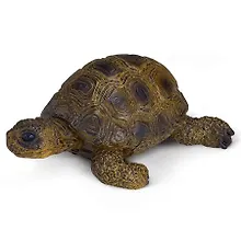 Купить Игрушка, Schleich/Шляйх, Фигурка Животные из зоопарка. Черепаха — Фото №1