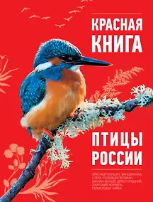 Купить Красная книга. Птицы России — Фото №1