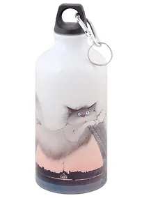 Купить Бутылка с карабином СПб Кот, Дворцовый мост, Петропавловская крепость (500мл) — Фото №1