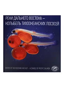 Купить Реки Дальнего Востока Колыбель тихоокеанских лососей Rivers of The Russian… Альбом — Фото №1