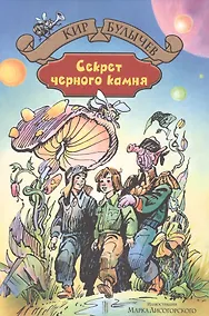 Купить Секрет чёрного камня — Фото №1