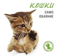 Купить Кошки. Само обаяние — Фото №1
