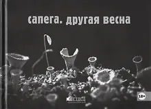 Купить Другая весна — Фото №1