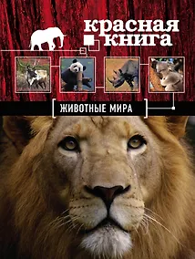 Купить Красная книга. Животные мира — Фото №1