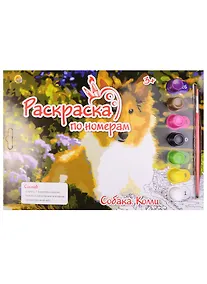 Купить Картина по номерам.Собака Колли (Р-5824) (краски/7цв.+основа с контуром+тренировочный лис — Фото №1