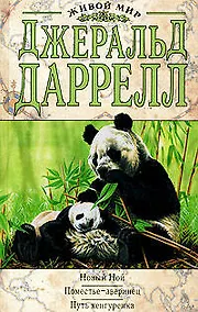 Купить Новый Ной.Поместье-зверинец.Путь кенгуренка — Фото №1