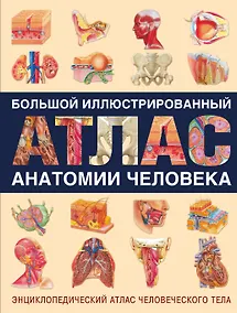 Купить Энциклопедический атлас человеческого тела (ISBN 5-17-038347-9 в суперобложке "Большой иллюстрированный атлас анатомии человека") — Фото №1