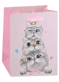 Купить Пакет А5 23*18*10 "Kittens on party" жен., бум.мат.ламинат — Фото №1