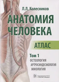 Купить Анатомия человека: атлас: в 3-х томах. Том 1. Остеология, артросиндесмология, миология — Фото №1