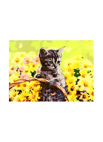 Купить Набор д/творчества Рыжий кот Палитра. Холст с красками 30х40см по номерам Котенок среди цветов Х-1761 — Фото №1