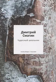 Купить Чудесный школьник: сборник стихотворений — Фото №1