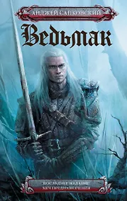 Купить Последнее желание. Меч предназначения — Фото №1