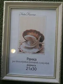 Купить Рама интерьерная "Светло-золотистый багет" (21х30 см) — Фото №1