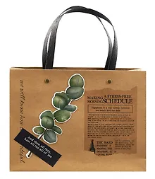 Купить Пакет А4 32*26*12,5 "Eucaliptus" нейтр. бум.мат — Фото №1