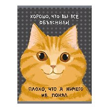 Купить Тетрадь А4 60л кл. "Не понял" скрепка, мел.картон, глянц.ламинация — Фото №1