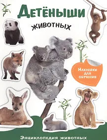 Купить Детеныши животных — Фото №1