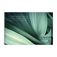 Купить Альбом для рисования 30л А4 "Шепот листьев" гребень, мел.картон, выб.лак — Фото №1