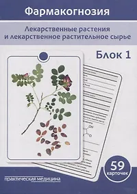 Купить Фармакогнозия. Блок 1 (59 карточек). Лекарственные растения и лекарственное растительное сырье. Учебное пособие — Фото №1