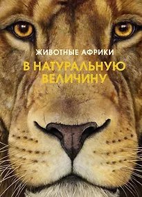 Купить Животные Африки в натуральную величину — Фото №1