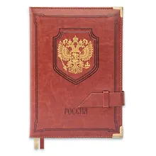 Купить Ежедневник полудатированный, Феникс+ А5+, (175х245), 384стр., САРИФ КОРИЧНЕВЫЙ 47718 — Фото №1
