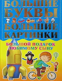 Купить Большой подарок любимому сыну. Большие буквы. Большие картинки — Фото №1