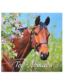 Купить Календарь 2026г 285*285 "Год Лошади" настенный, на скрепке — Фото №1