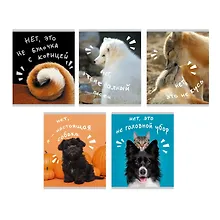 Купить Тетрадь в клетку Listoff, "Показалось", 96 листов, в ассортименте — Фото №1