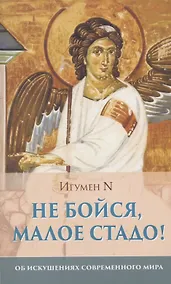 Купить Не бойся, малое стадо! Об искушениях современного мира — Фото №1