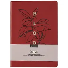 Купить Ежедневник недатированный «Olive» А5, бордовый, 160 листов, экокожа, InFolio — Фото №1