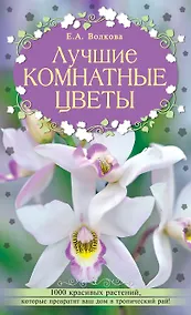 Купить Лучшие комнатные цветы — Фото №1