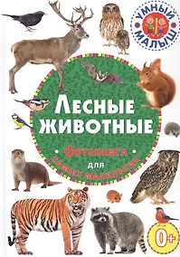 Купить Лесные животные. Фотокнига для самых маленьких — Фото №1