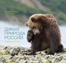 Купить Дикая природа России — Фото №1