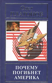 Купить Почему погибнет Америка (РусПравда) Платонов — Фото №1