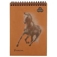 Купить Блокнот для пастели «Premium Cinnamon», корица, 30 листов, А5 — Фото №1